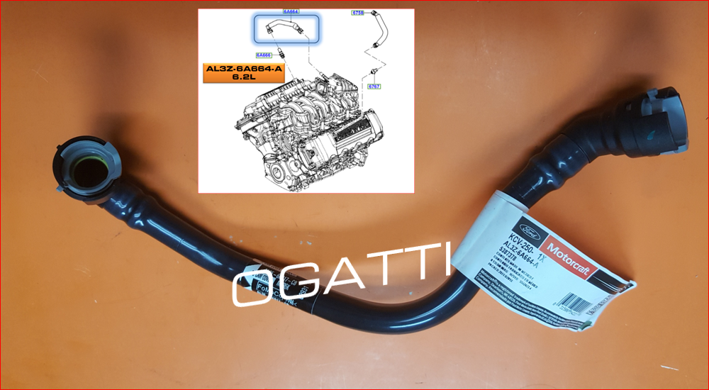 BRAND NEW OEM HOSE PCV VALVE 6.2L DOHC F150-250-350-450 RAPTOR 2011-2015 AL3Z-6A664-A |6A664| - Imagen 2