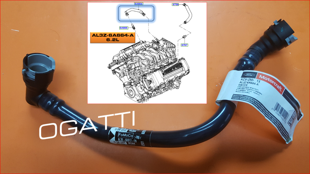 BRAND NEW OEM HOSE PCV VALVE 6.2L DOHC F150-250-350-450 RAPTOR 2011-2015 AL3Z-6A664-A |6A664| - Imagen 3