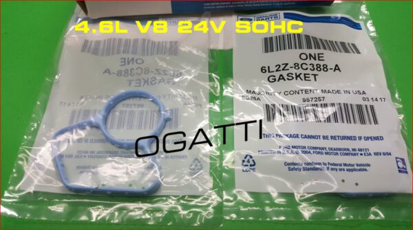 Brand New OEM GASKET 6L2Z-8C388-A |8C388|