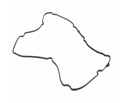 BRAND NEW OEM GASKET VALVE COVER LH DRIVER SIDE 6.2L DOHC F150-250-350-450 RAPTOR 2010-2011 AL3Z-6584-A