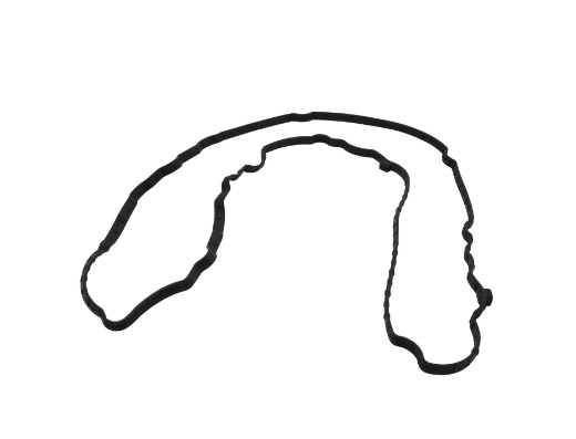 Brand New OEM VALVE COVER GASKET LH 5.0L V8 32V DOHC EFI F-150 From: 10/12/2020 ML3Z-6584-C - Imagen 2