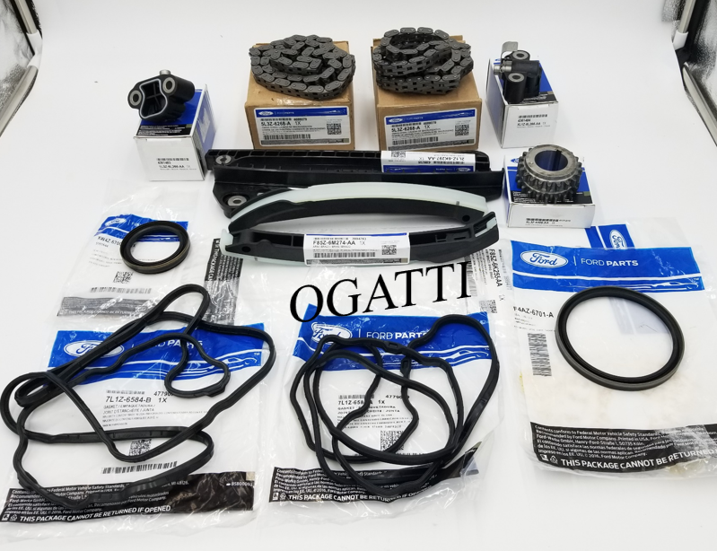 Brand New OEM Timing Chain Guides 5.4L V8, 24V OHV 13 Pieces, Engine Repair Kit (OG-60-5.4L-13-2)